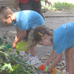 Ludoteca/tardes de juegos