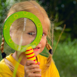 Gyncana medioambiental