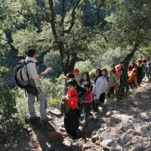 El Alcornoque, Sierra Espadán