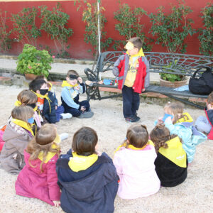 El secreto de los 5 sentidos